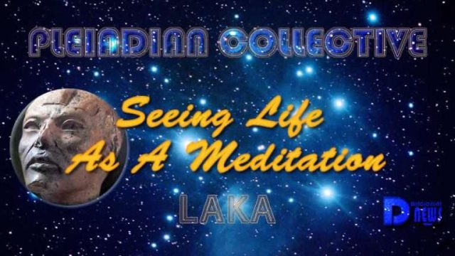 Embracing Tranquility: The Changing Landscape of Mindfulness